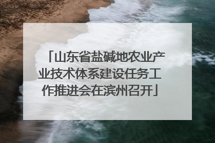 山东省盐碱地农业产业技术体系建设任务工作推进会在滨州召开