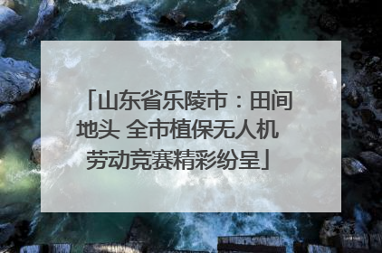 山东省乐陵市：田间地头 全市植保无人机劳动竞赛精彩纷呈
