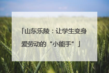 山东乐陵：让学生变身爱劳动的“小能手”