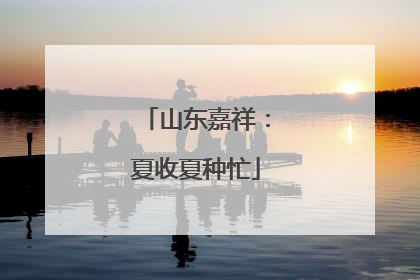 山东嘉祥：夏收夏种忙