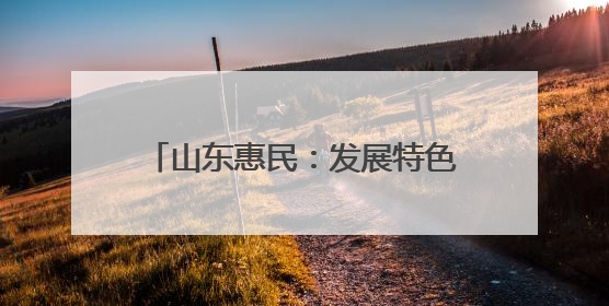 山东惠民：发展特色产业 赋能乡村振兴