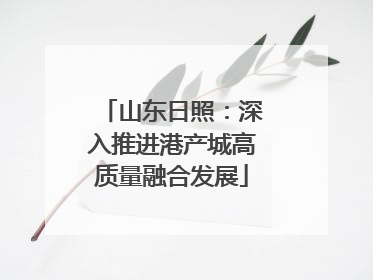山东日照：深入推进港产城高质量融合发展