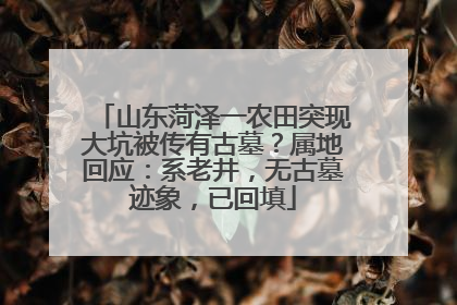 山东菏泽一农田突现大坑被传有古墓？属地回应：系老井，无古墓迹象，已回填