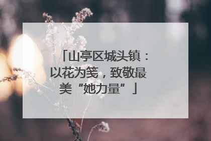 山亭区城头镇：以花为笺，致敬最美“她力量”