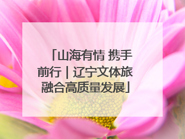 山海有情 携手前行｜辽宁文体旅融合高质量发展