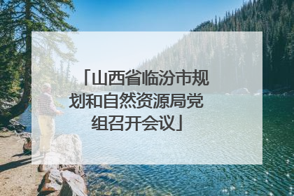山西省临汾市规划和自然资源局党组召开会议