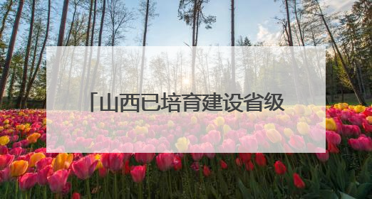 山西已培育建设省级文物科研基地26个