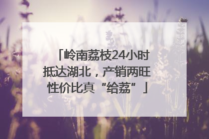 岭南荔枝24小时抵达湖北，产销两旺性价比真“给荔”