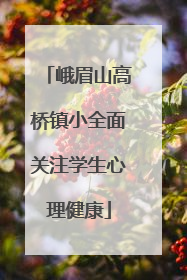 峨眉山高桥镇小全面关注学生心理健康