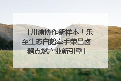 川渝协作新样本！乐至生态白鹅牵手荣昌卤鹅点燃产业新引擎