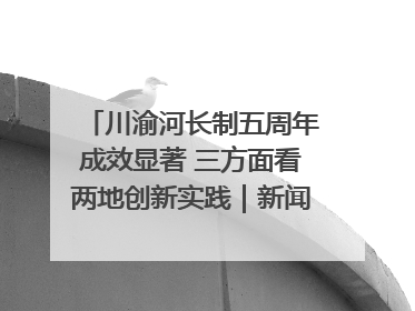 川渝河长制五周年成效显著 三方面看两地创新实践｜新闻发布最前线