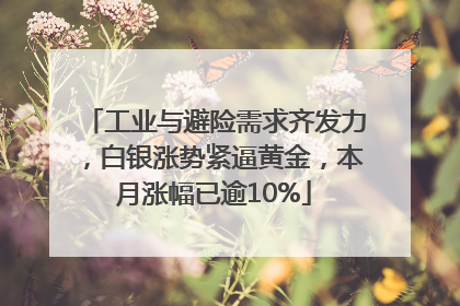 工业与避险需求齐发力，白银涨势紧逼黄金，本月涨幅已逾10%