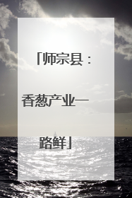 师宗县：香葱产业一路鲜