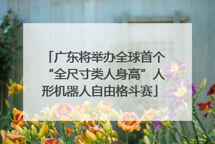 广东将举办全球首个“全尺寸类人身高”人形机器人自由格斗赛