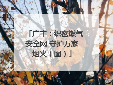 广丰：织密燃气安全网 守护万家烟火（图）