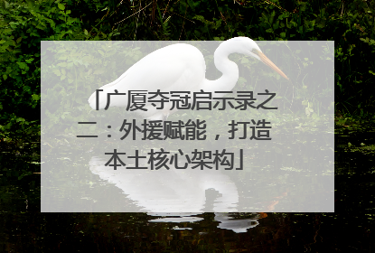 广厦夺冠启示录之二：外援赋能，打造本土核心架构