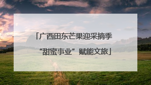 广西田东芒果迎采摘季 “甜蜜事业”赋能文旅