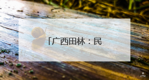 广西田林：民众体验非遗 感受文化魅力