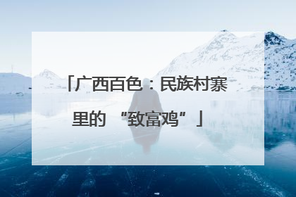 广西百色：民族村寨里的 “致富鸡”