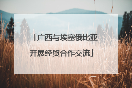 广西与埃塞俄比亚开展经贸合作交流