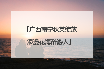 广西南宁秋英绽放 浪漫花海醉游人