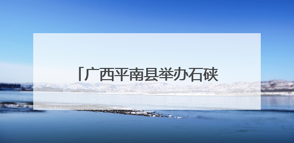 广西平南县举办石硖龙眼产销对接活动 签约逾3000万元