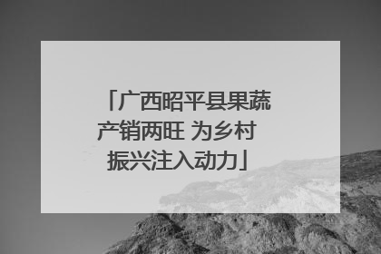 广西昭平县果蔬产销两旺 为乡村振兴注入动力