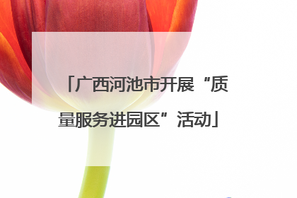 广西河池市开展“质量服务进园区”活动