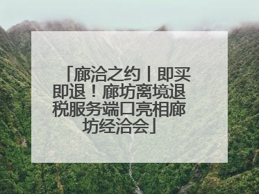 廊洽之约丨即买即退！廊坊离境退税服务端口亮相廊坊经洽会