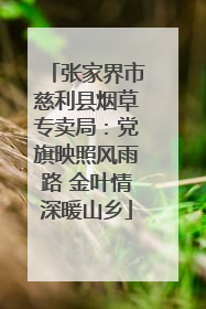 张家界市慈利县烟草专卖局：党旗映照风雨路 金叶情深暖山乡