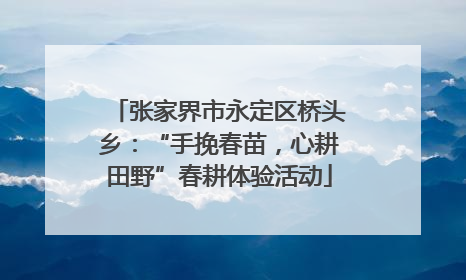 张家界市永定区桥头乡：“手挽春苗，心耕田野”春耕体验活动