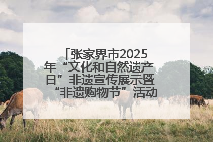 张家界市2025年“文化和自然遗产日”非遗宣传展示暨“非遗购物节”活动在慈利县盛大启幕
