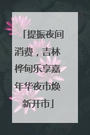 提振夜间消费，吉林桦甸乐享嘉年华夜市焕新开市