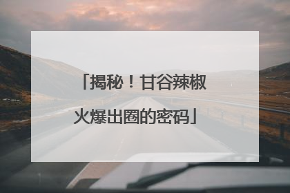 揭秘！甘谷辣椒火爆出圈的密码