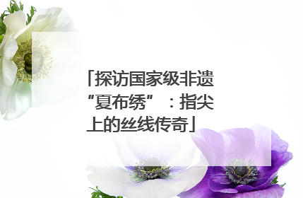 探访国家级非遗“夏布绣”：指尖上的丝线传奇