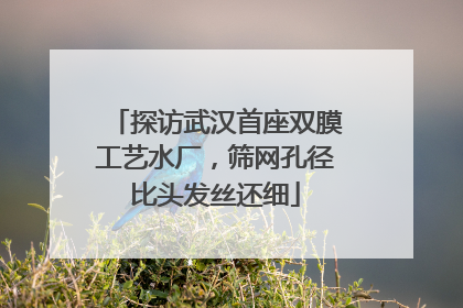 探访武汉首座双膜工艺水厂，筛网孔径比头发丝还细
