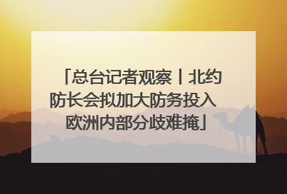 总台记者观察丨北约防长会拟加大防务投入 欧洲内部分歧难掩