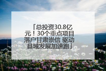 总投资30.8亿元！30个重点项目落户甘肃崇信 驱动县域发展加速跑