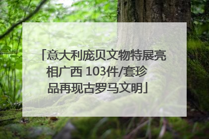 意大利庞贝文物特展亮相广西 103件/套珍品再现古罗马文明