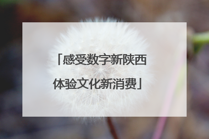 感受数字新陕西 体验文化新消费