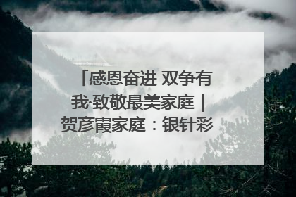 感恩奋进 双争有我·致敬最美家庭｜贺彦霞家庭：银针彩线绣出好日子