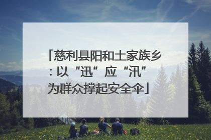 慈利县阳和土家族乡：以“迅”应“汛” 为群众撑起安全伞
