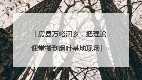 房县万峪河乡：把理论课堂搬到烟叶基地现场