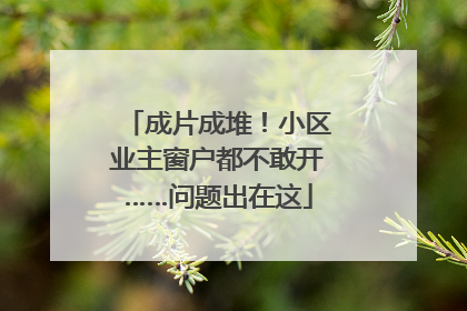 成片成堆！小区业主窗户都不敢开……问题出在这