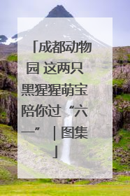 成都动物园 这两只黑猩猩萌宝陪你过“六一”｜图集