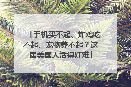手机买不起、炸鸡吃不起、宠物养不起？这届美国人活得好难