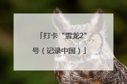 打卡“雪龙2”号（记录中国）
