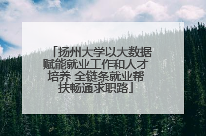 扬州大学以大数据赋能就业工作和人才培养 全链条就业帮扶畅通求职路