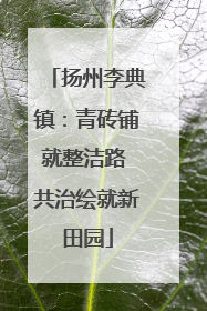 扬州李典镇：青砖铺就整洁路 共治绘就新田园