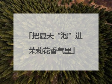 把夏天“泡”进茉莉花香气里